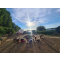 The Crucial Connection Between Sunlight and Health: Understanding the Impact of Sunlight Deprivation