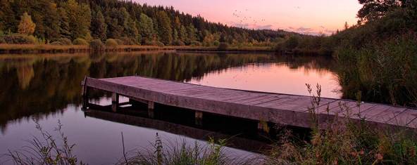 Filtering Lake Water for Home Use